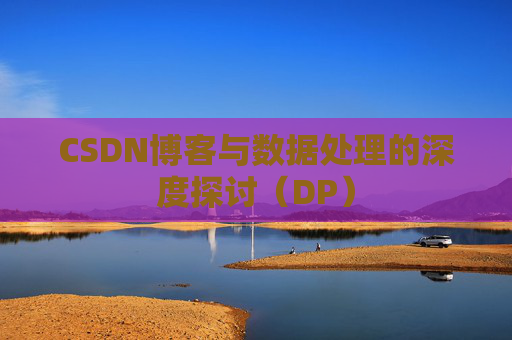 CSDN博客与数据处理的深度探讨（DP）